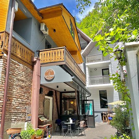 Greenwood 보르조미 외부 사진